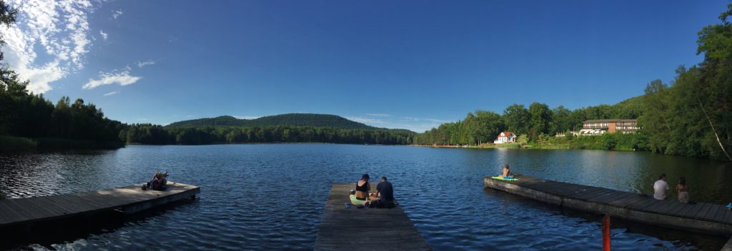 Etang de Hanau - Phillipsbourg