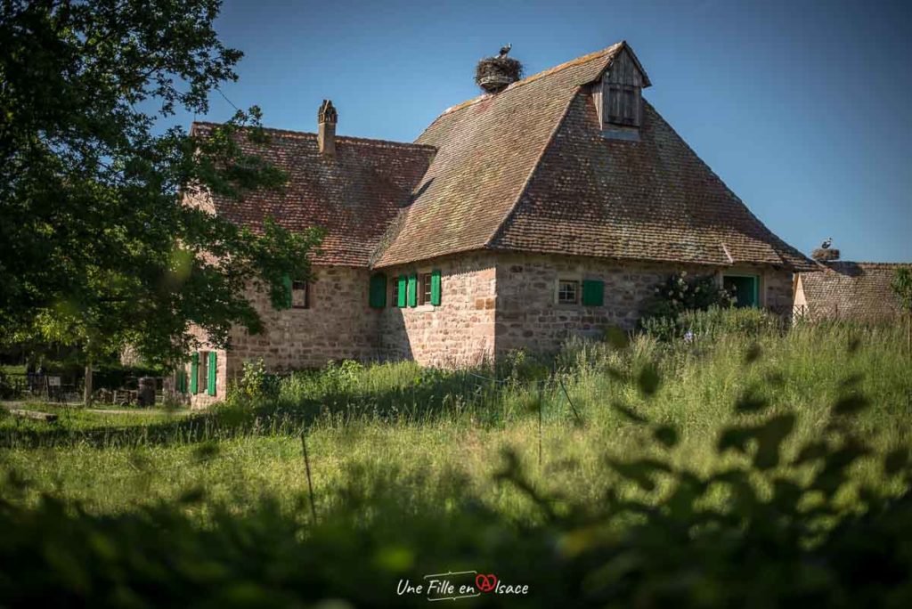 ecomusee d'alsace-ungersheim©Celine-Schnell-Une-Fille-En-Alsace-2019