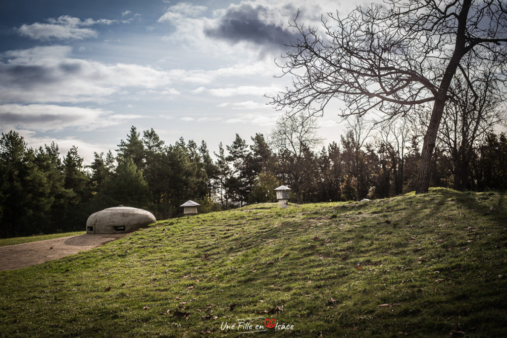 fort-de-mutzig©Celine-Schnell-Une-Fille-En-Alsace-2019