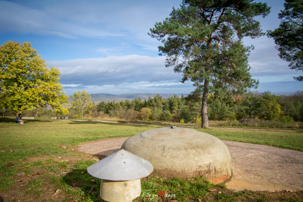 fort-de-mutzig©Celine-Schnell-Une-Fille-En-Alsace-2019