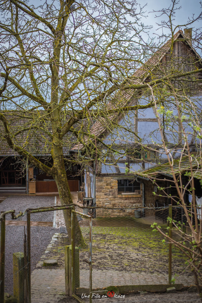 ferme-maison-rurale de-loutre-foret-kutzenhausen@Céline-Schnell-Une-Fille-En-Alsace-2020