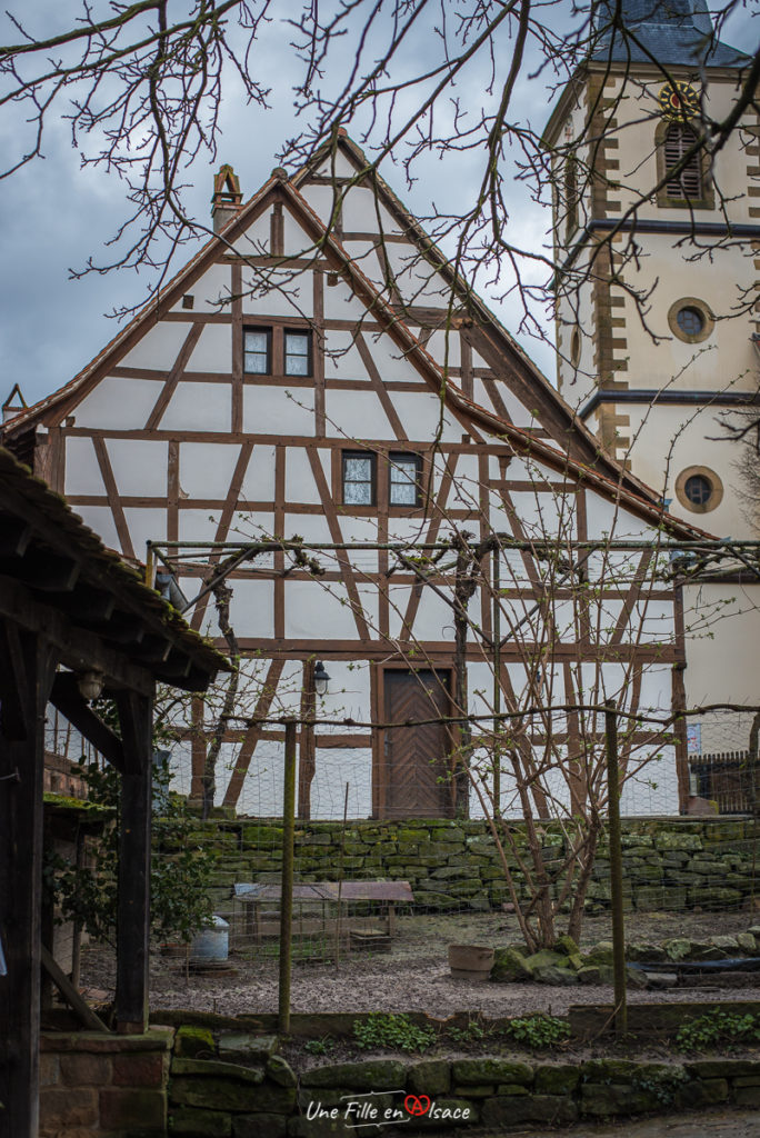 maison-rurale de-loutre-foret-kutzenhausen@Céline-Schnell-Une-Fille-En-Alsace-2020