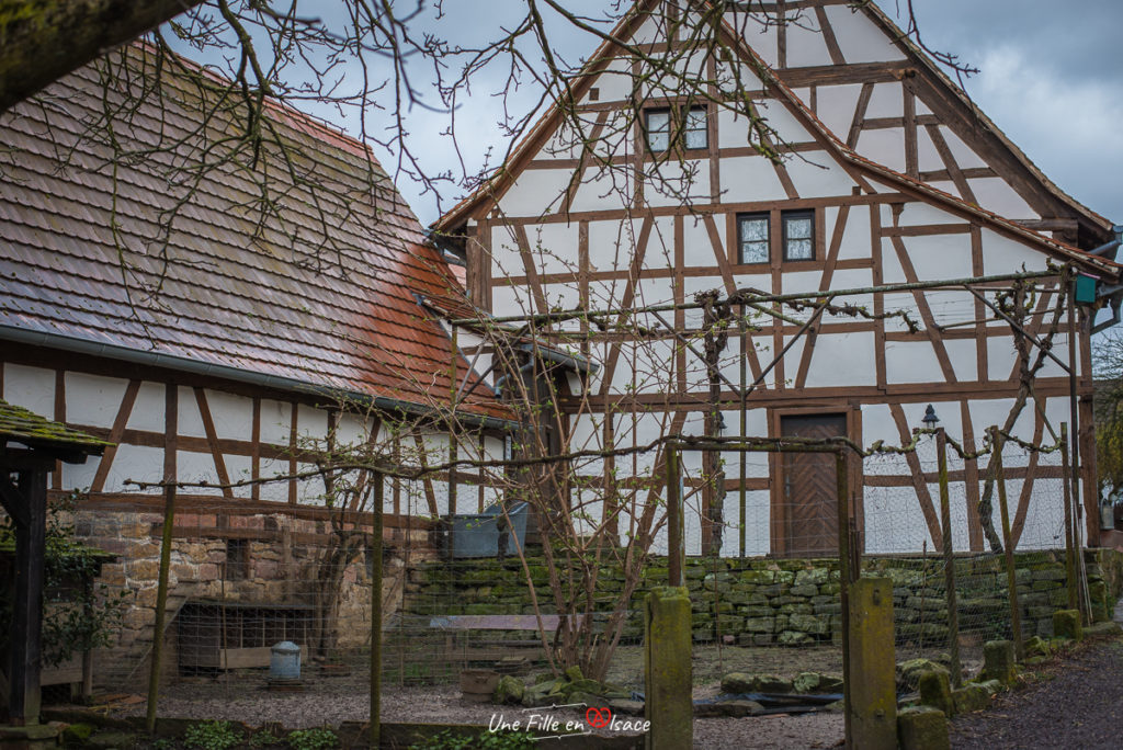 maison-rurale de-loutre-foret-kutzenhausen@Céline-Schnell-Une-Fille-En-Alsace-2020