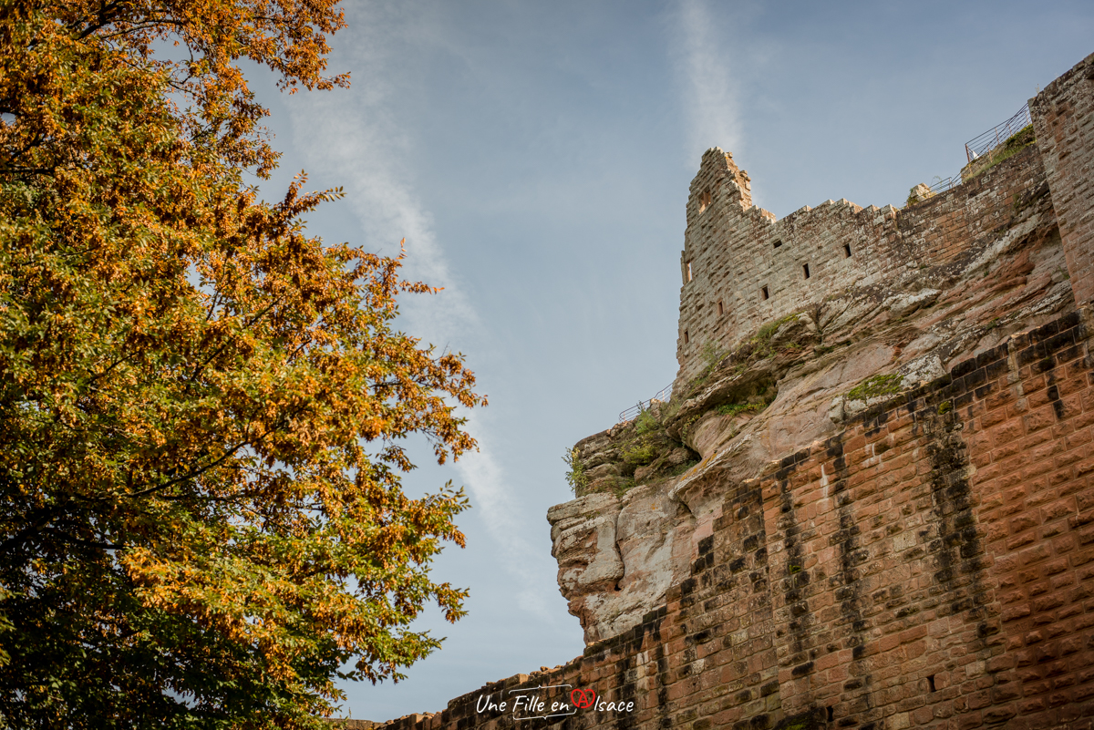 chateau-de-fleckenstein-lembach-Celine-Schnell-Une-Fille-En-Alsace-2021