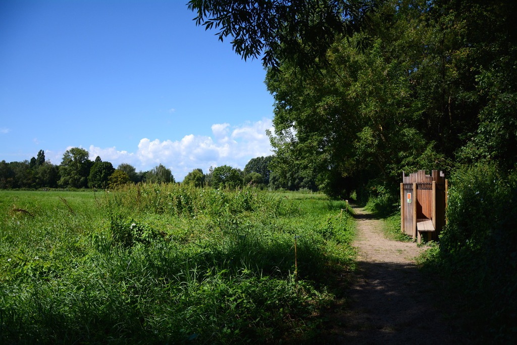 Sentier Pieds Nu Sensoried Muttersholtz Photo Céline Schnell Une Fille En Alsace