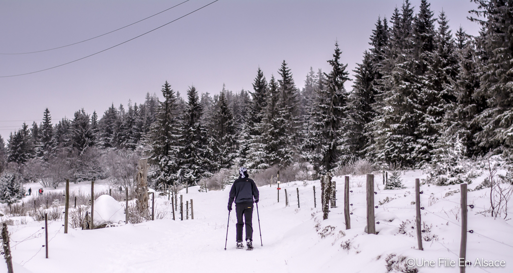 Sortie raquettes au Lac Blanc Kaysersberg Photo Céline Schnell Une Fille En Alsace