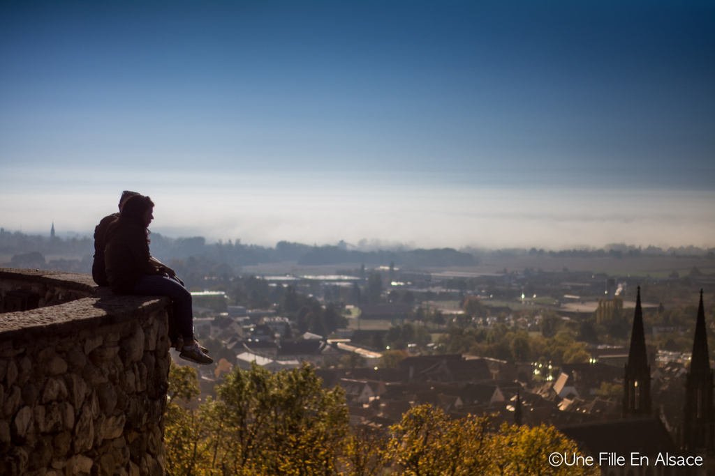 Vue sur Obernai au Coeur d'Alsace