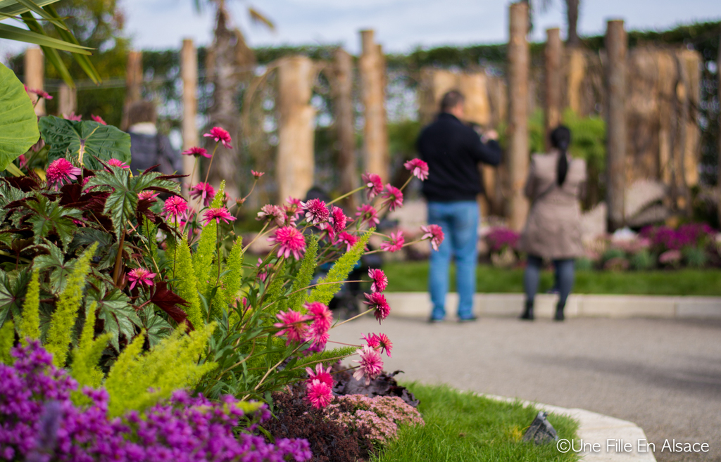 Folie'Flore 2017 au Parc Expo de Mulhouse