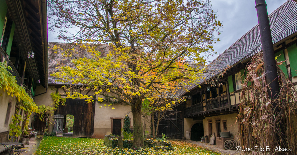 Unter der linde un trésor de maison d’hôtes 