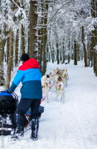 Mon baptême en chien de traîneau - Photos Céline Schnell - Une Fille En Alsace