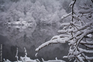 Lac d'Alfeld - Vallée de Masevaux - Photos Céline Schnell - Une Fille En Alsace