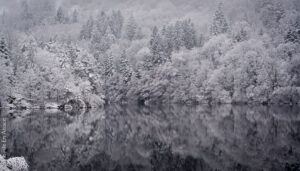 Lac d'Alfeld - Vallée de Masevaux - Photos Céline Schnell - Une Fille En Alsace