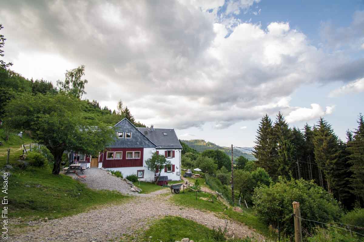 Ferme La Petite Finlande à Orbey - Crédit Photo Céline Schnell Une Fille En Alsace