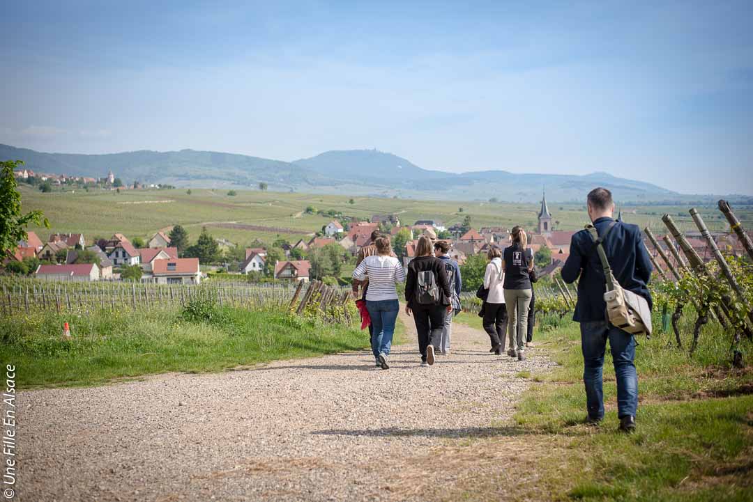 Parenthèse Authentique balade dans le vignoble vers Beblenheim ©Celine-Une-Fille-En-Alsace-2019-8