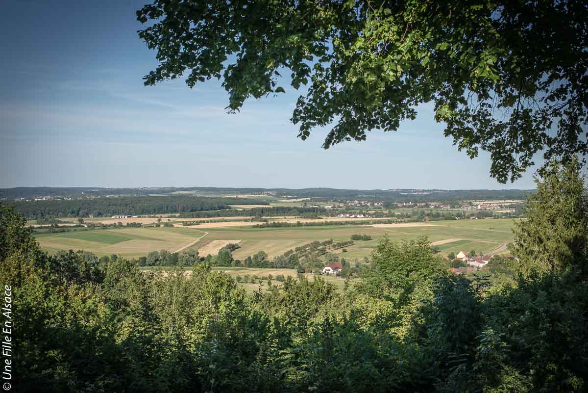 kirchberg©Celine-Schnell-Une-Fille-En-Alsace-2019-4