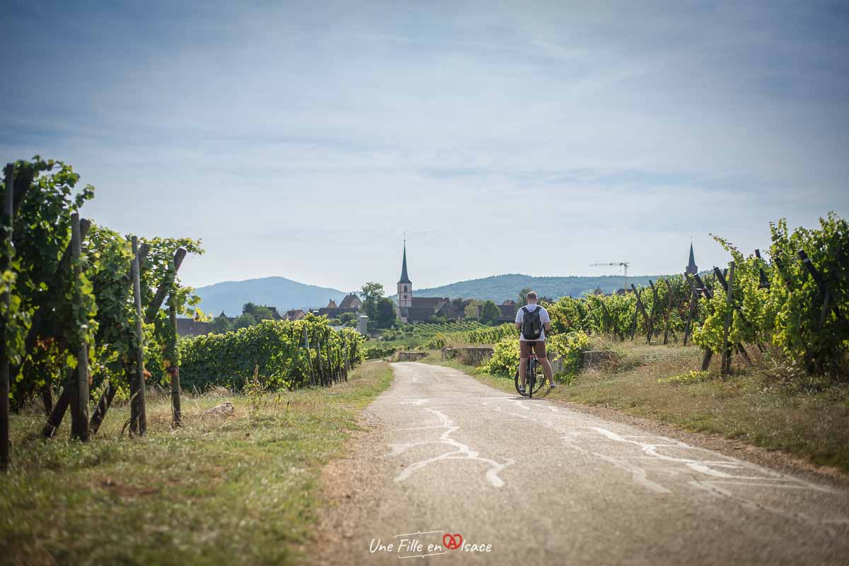 veloroute-vignoble-mittelbergheim©Celine-Schnell-Une-Fille-En-Alsace-2019