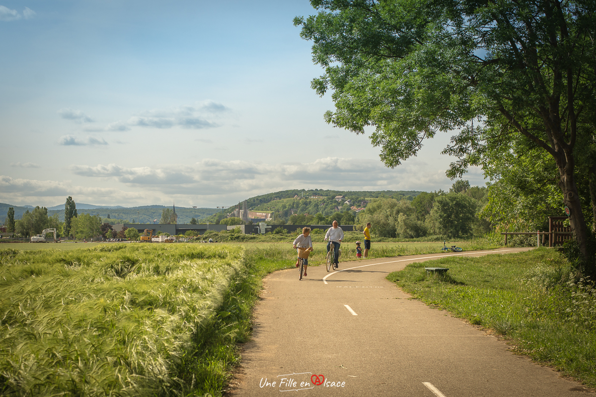 velo-pays-de-sainte-odile-obernai-niedernai@Céline-Schnell-Une-Fille-En-Alsace-2020