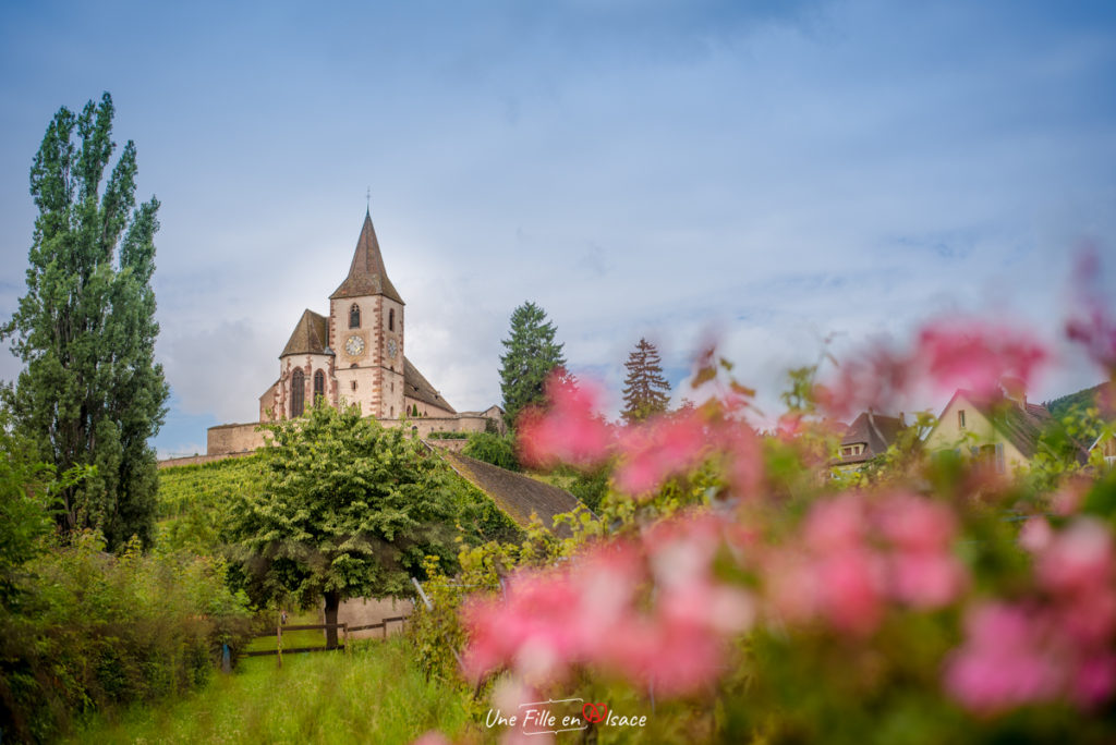 Hunawihr-Celine-Schnell-Une-Fille-En-Alsace-2021