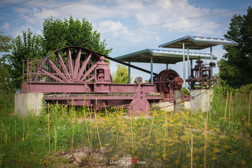 jardin-des-energies-electropolis-mulhouse-Celine-Schnell-Une-Fille-En-Alsace-2021