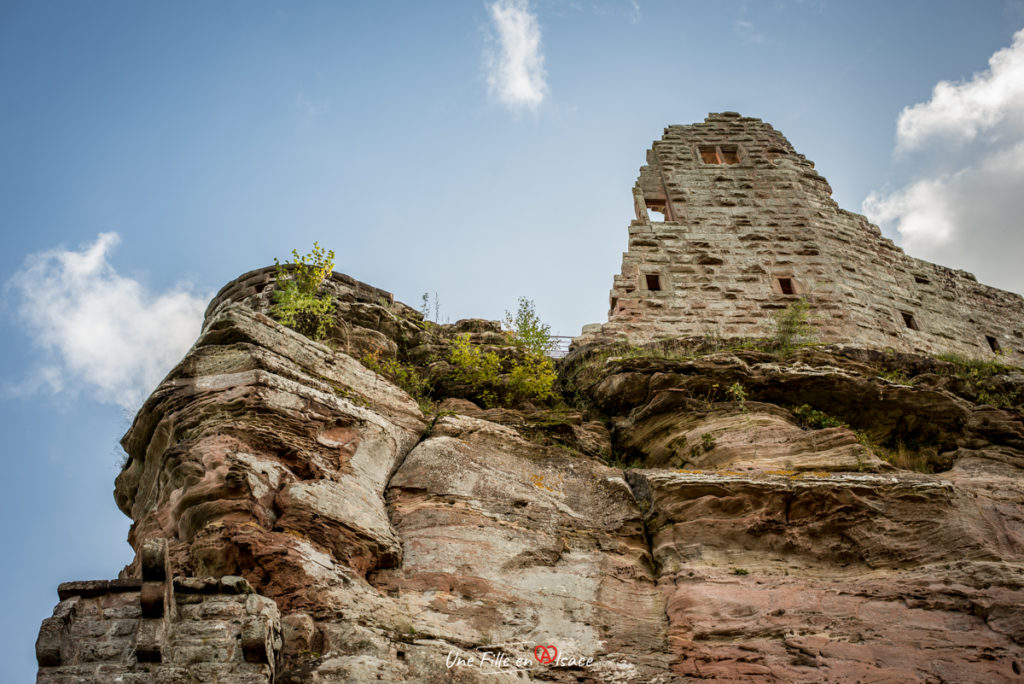 chateau-de-fleckenstein-lembach-Celine-Schnell-Une-Fille-En-Alsace-2021