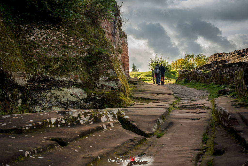 chateau-de-fleckenstein-lembach-Celine-Schnell-Une-Fille-En-Alsace-2021