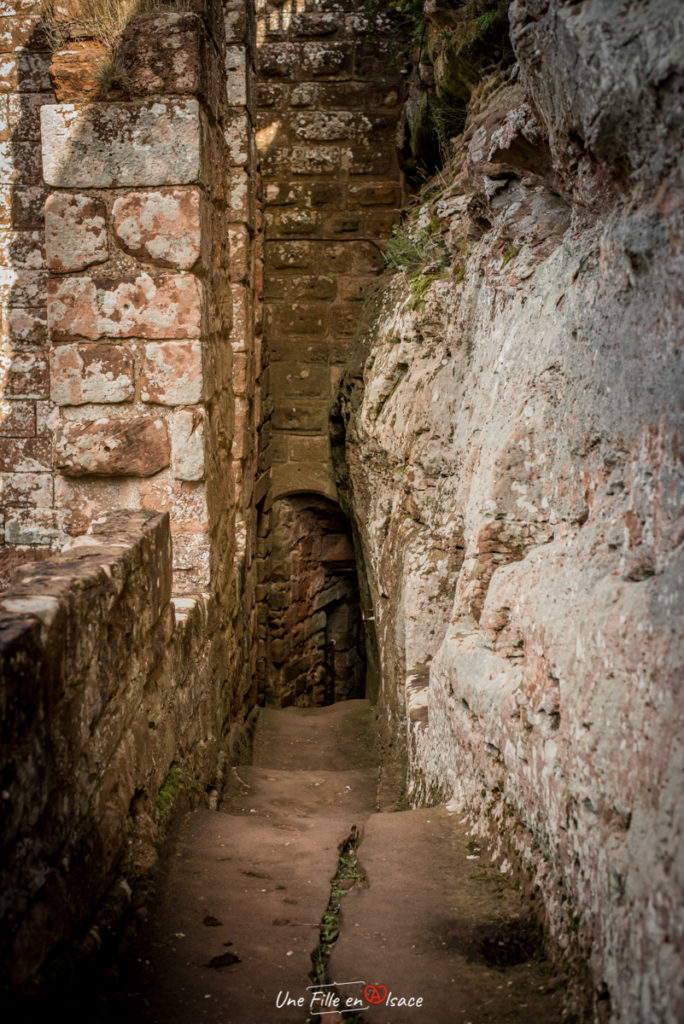 chateau-de-fleckenstein-lembach-Celine-Schnell-Une-Fille-En-Alsace-2021