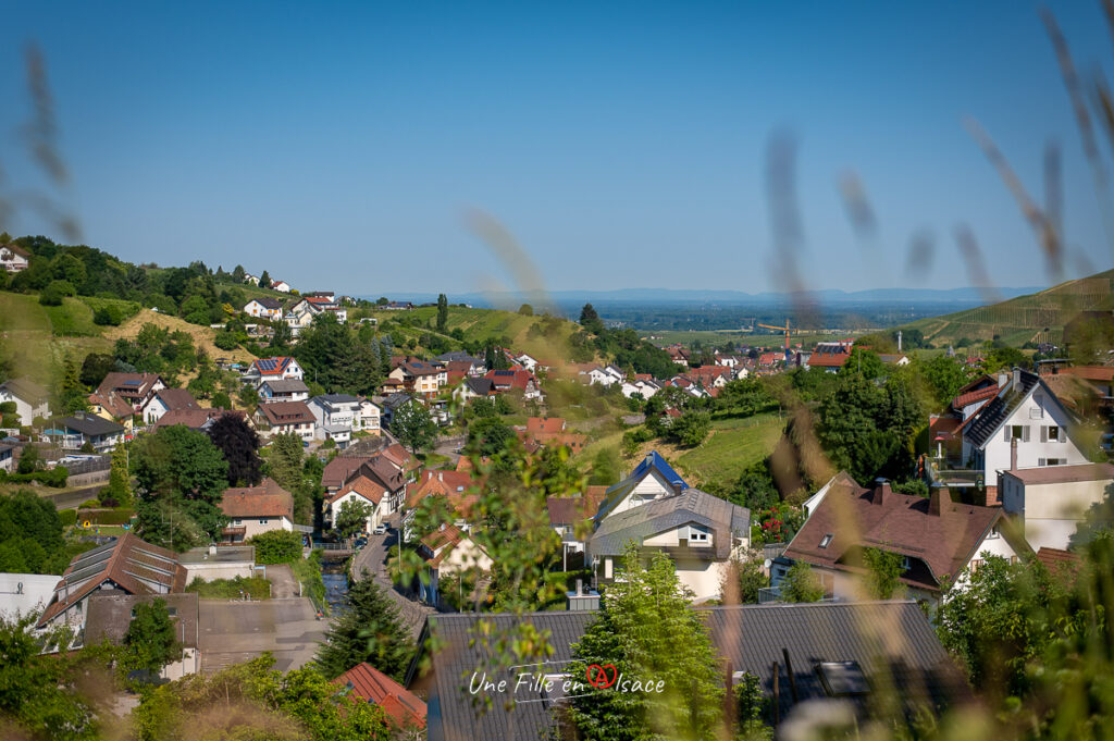 buhl-nationalparkschwarzwald-Celine-Schnell-Une-Fille-En-Alsace-2023-002