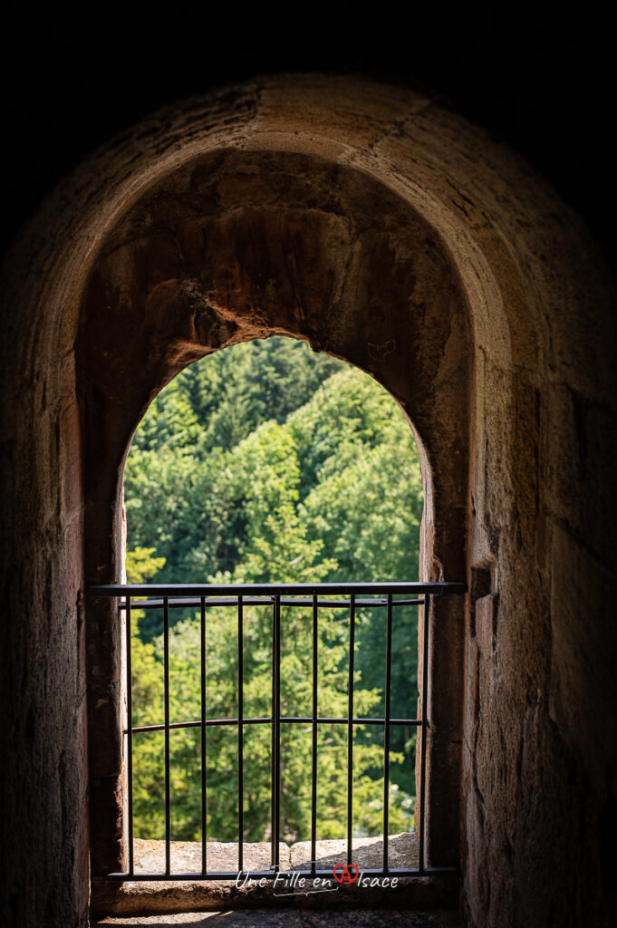 chateau-windeck-buhl-foret-noire-Celine-Schnell-Une-Fille-En-Alsace-2023