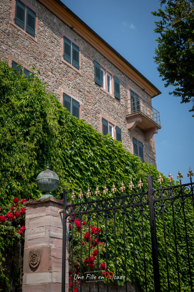 chateau-eberstein-gernsbach-foret-noire-Celine-Schnell-Une-Fille-En-Alsace-2023