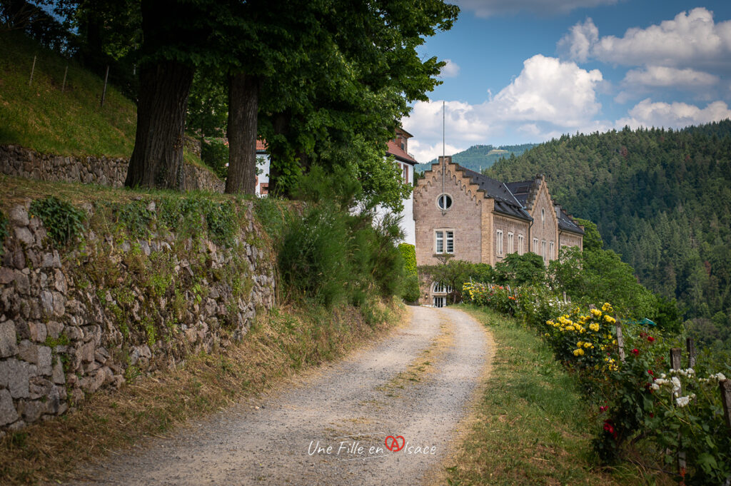 chateau-eberstein-gernsbach-foret-noire-Celine-Schnell-Une-Fille-En-Alsace-2023