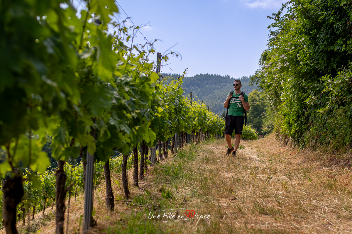 randonnee-chateau-eberstein-gernsbach-foret-noire-Celine-Schnell-Une-Fille-En-Alsace-2023