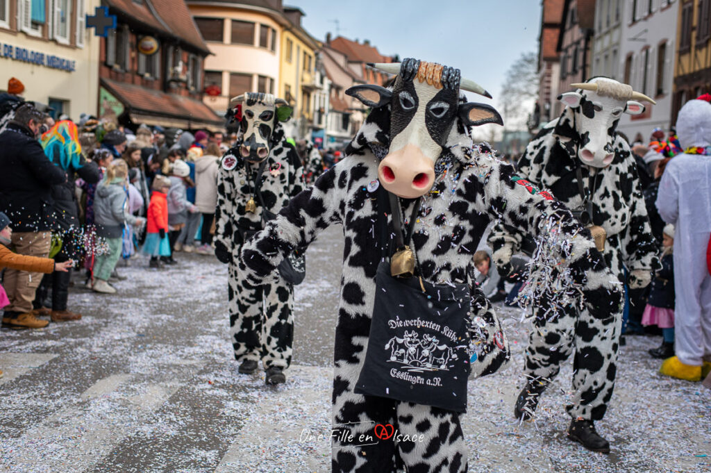 carnaval-des-machores-Selestat-Une-Fille-En-Alsace-2024