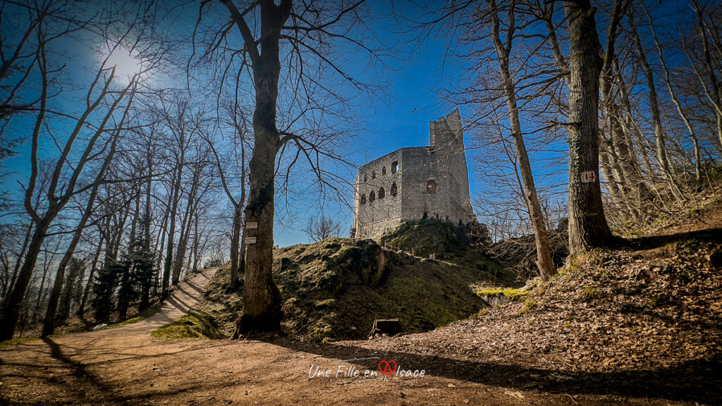 chateau-spesbourg-Une-Fille-En-Alsace-2024