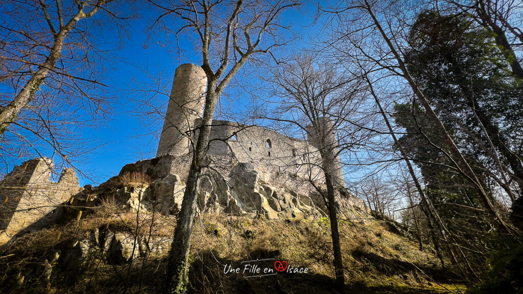 chateau-haut-andlau-Une-Fille-En-Alsace-2024