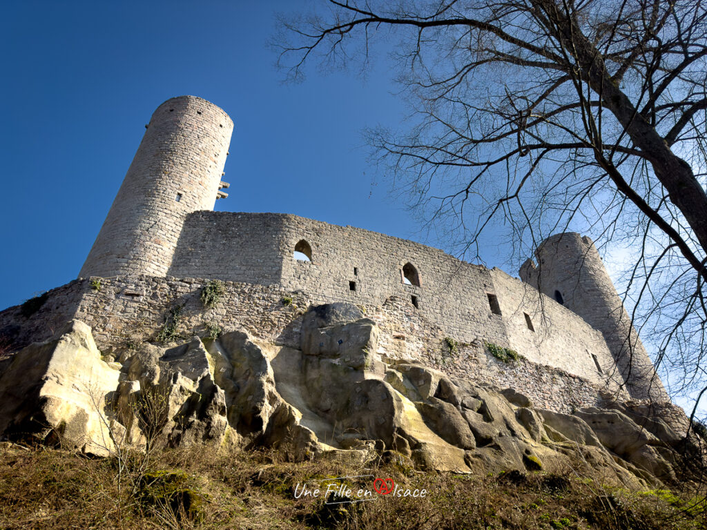 chateau-haut-andlau-Une-Fille-En-Alsace-2024