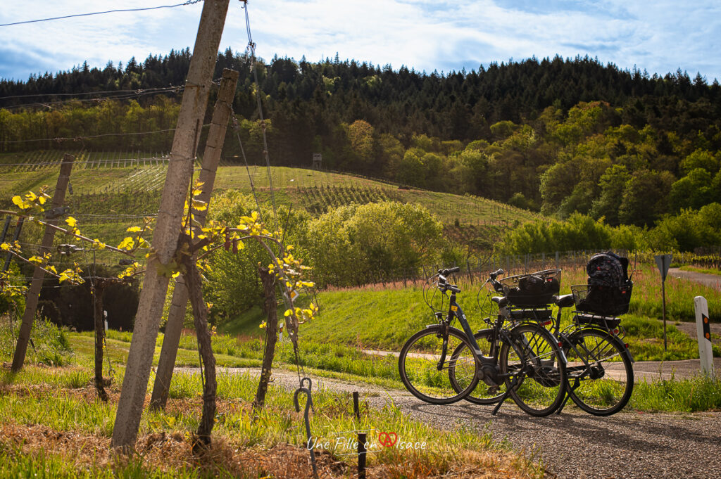 circuit-velo-vignoble-buhl-allemagne-une-fille-en-alsace