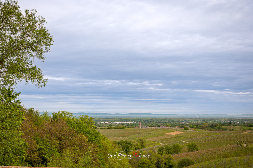 circuit-velo-vignoble-allemagne-une-fille-en-alsace