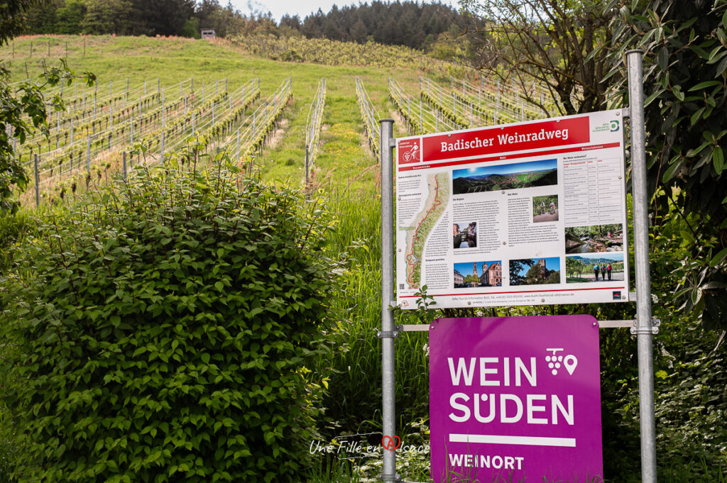 circuit-velo-vignoble-allemagne-une-fille-en-alsace