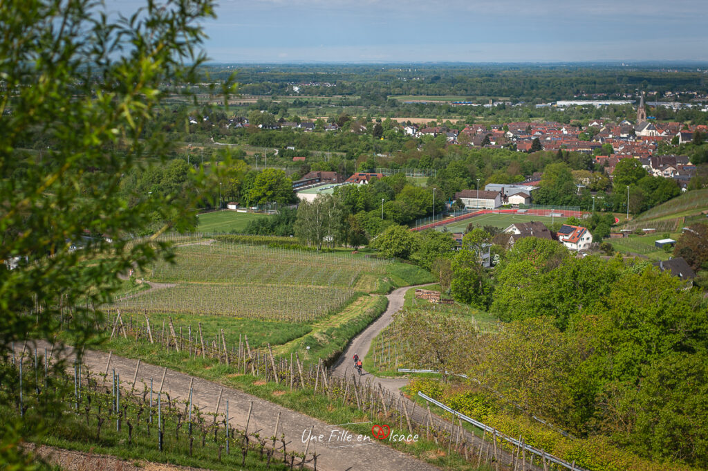 circuit-velo-vignoble-allemagne-une-fille-en-alsace