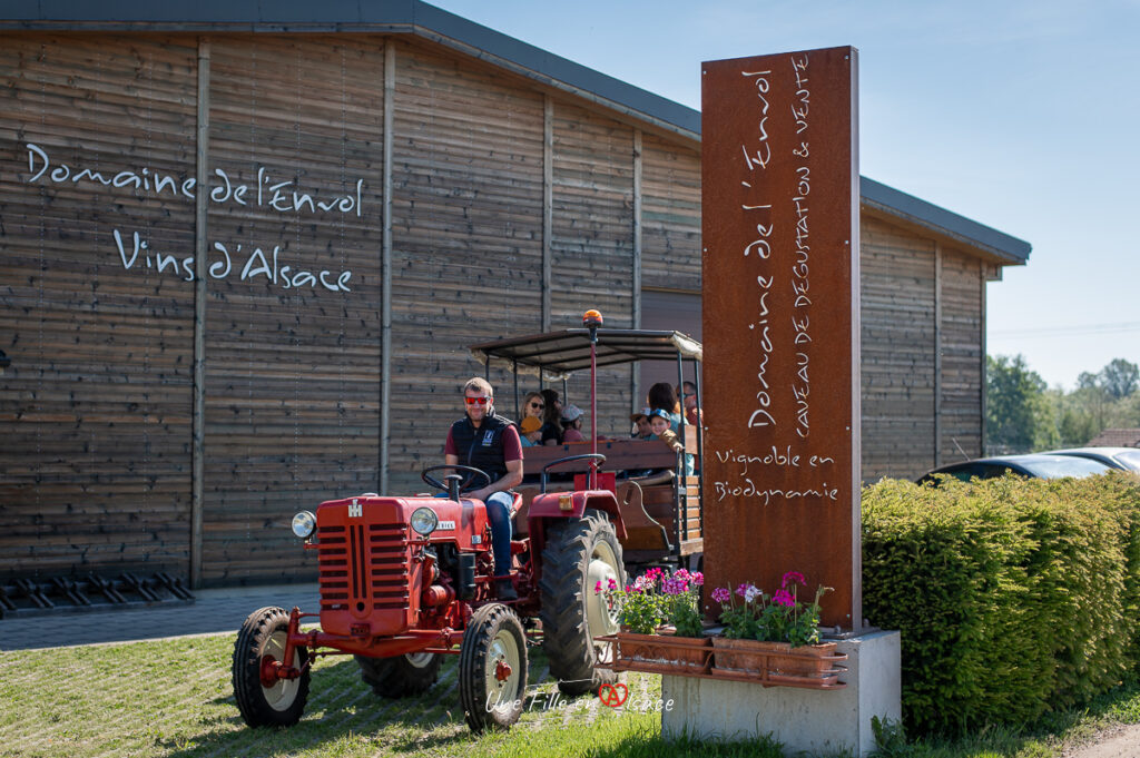 Sortie-insolite-caleche-domaine-de-lenvol-ingersheim-Une-Fille-En-Alsace-2024