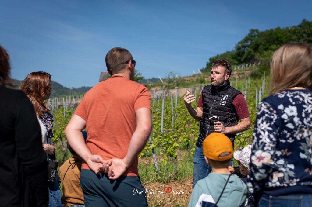 Sortie-insolite-caleche-domaine-de-lenvol-ingersheim-Une-Fille-En-Alsace-2024