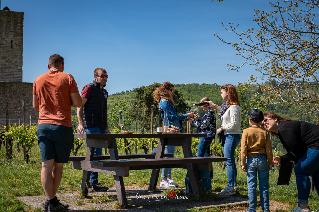 Sortie-insolite-caleche-domaine-de-lenvol-ingersheim-Une-Fille-En-Alsace-2024