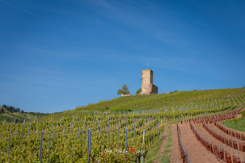 chateau-de-katzenthal-Une-Fille-En-Alsace-2024