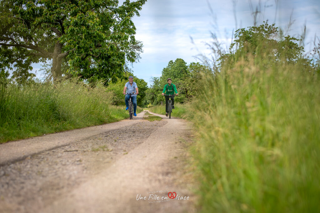 circuit-velo-pamina-prairies-allemagne-une-fille-en-alsace