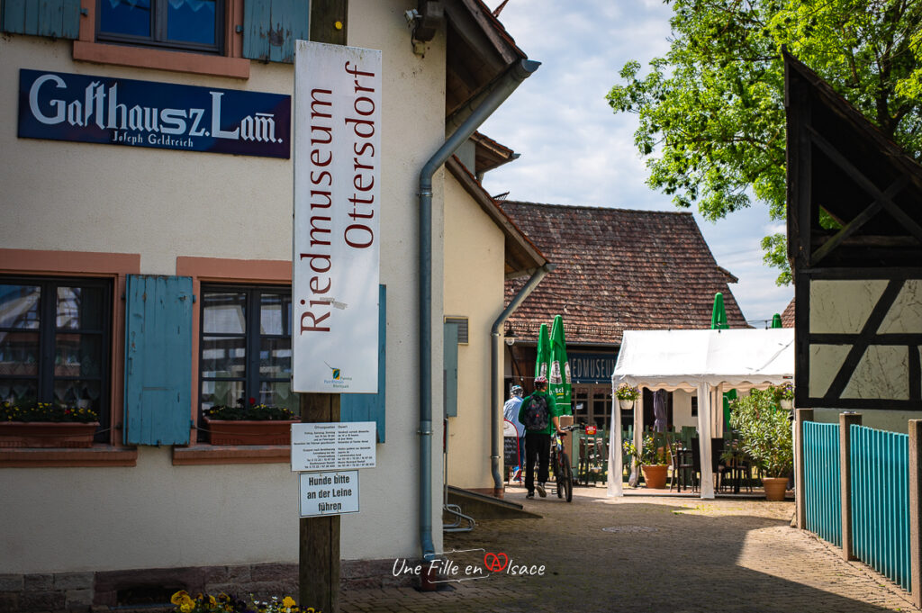 circuit-velo-pamina-riedmuseum-ottersdorf-allemagne-une-fille-en-alsace