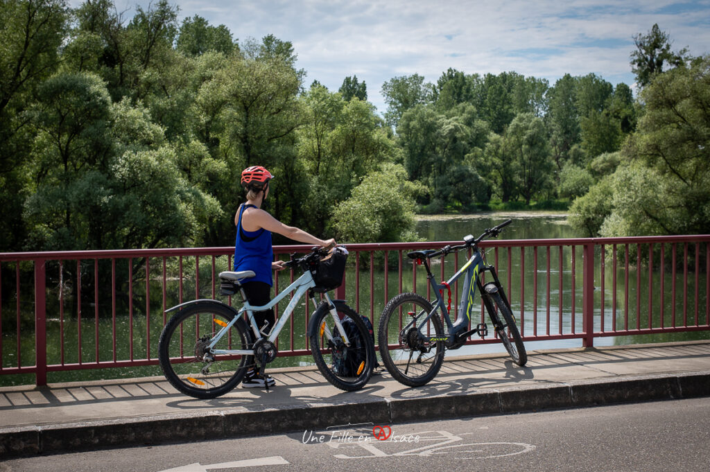 circuit-velo-plittersdorf-seltz-allemagne-une-fille-en-alsace