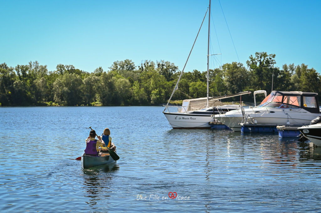 canoe-animation-ete-pays-rhenan-Une-Fille-En-Alsace-2024