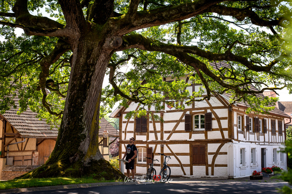 saint-ulrich-chene-sundgau-Une-Fille-En-Alsace-2024