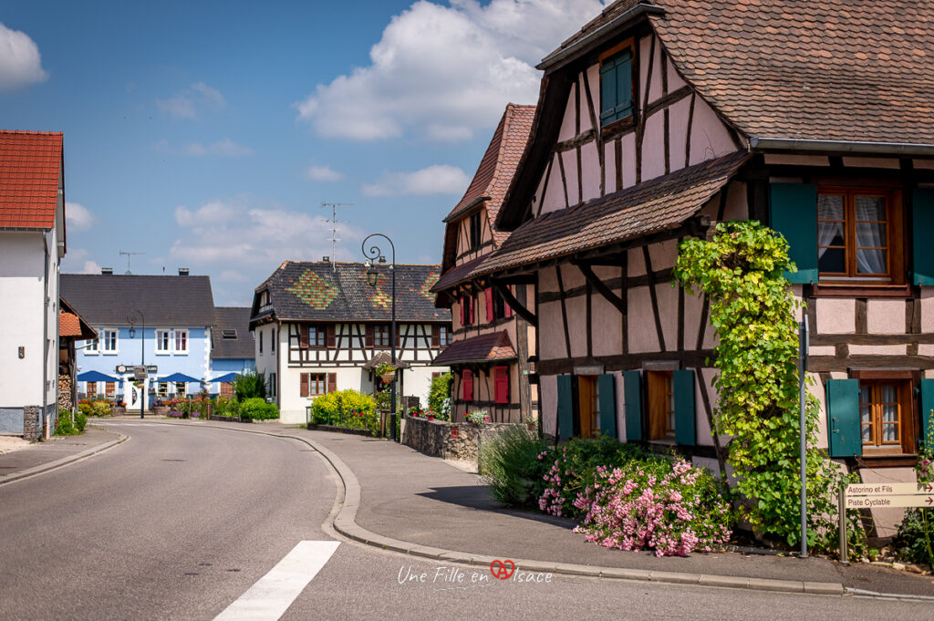 friesen-sundgau-Une-Fille-En-Alsace-2024