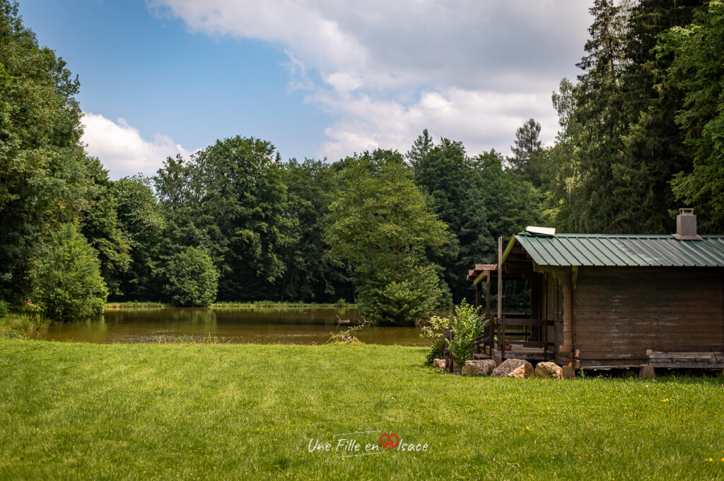 sundgau-Une-Fille-En-Alsace-2024